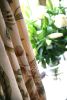 images/interiors/JB-Interiors-002669.jpg