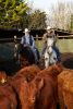 images/on-set/WesternWorld_194.jpg