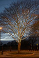 images/personal/Dec2011Test_108-copy.jpg