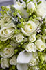 images/weddings/Claire&Alex_0254.jpg
